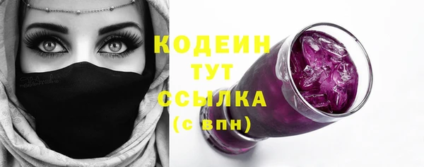 мдпв Няндома