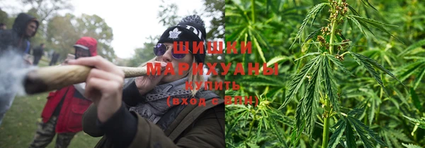 мдпв Няндома