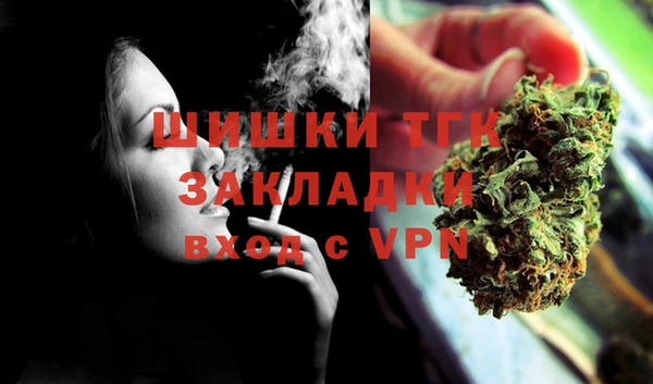 мдпв Няндома