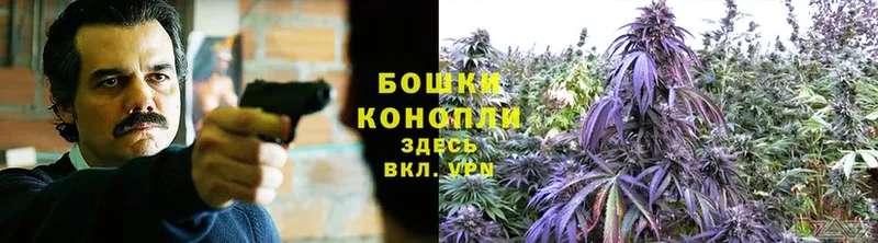 Шишки марихуана OG Kush  Нахабино 